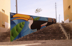 Toucan, by Márcio Bahia (Brazil).