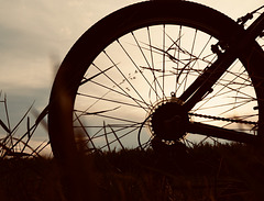 Radtour in den den Sonnenuntergang