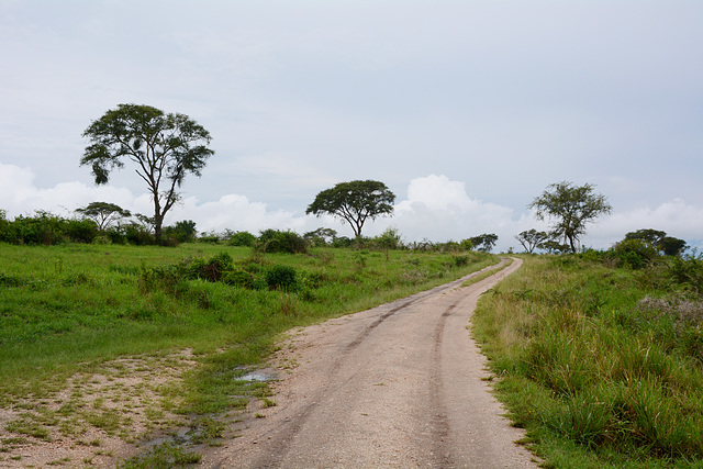 Dusty Road in Ugandan Savannah