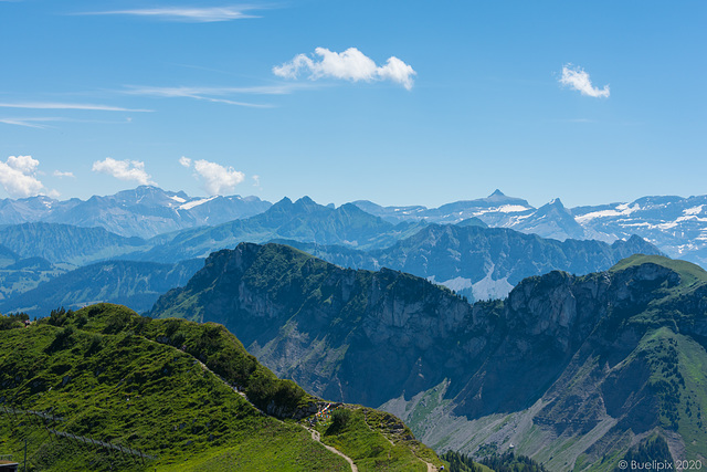 auf dem Rochers-de-Naye - Blick zu den Berner und Waadländer Alpen (F) (© Buelipix)