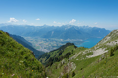 auf dem Rochers-de-Naye - Blick über Villeneuve (CH) zu den Savoyer Alpen (F) (© Buelipix)