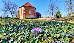 Frühling- Kirche in Pinnow