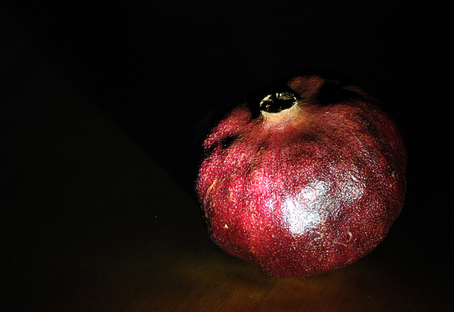 pomegranate DSC 9820