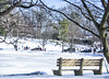 Sleigh riding at Bruce Park, Greenwich, Connecticut