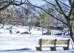 Sleigh riding at Bruce Park, Greenwich, Connecticut