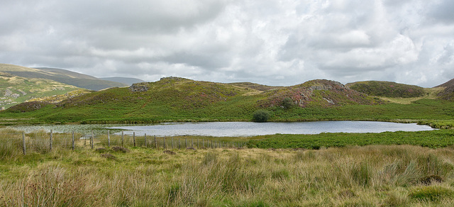 Liyn Barfog (The Bearded Lake).