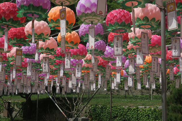 Lanternes et voeux, Andong (Corée du Sud)