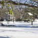 Binney Park, Greenwich, Connecticut in the snow