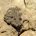 Erosion residue of younger lava- detail