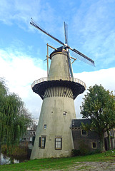 Nederland - Schiedam, De Drie Koornbloemen