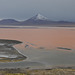 Bolivian Altiplano, Red Surface of the Laguna Colorada and Cerro Pabellón (5498m)