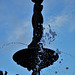 Albert Park fountain, late afternoon 4