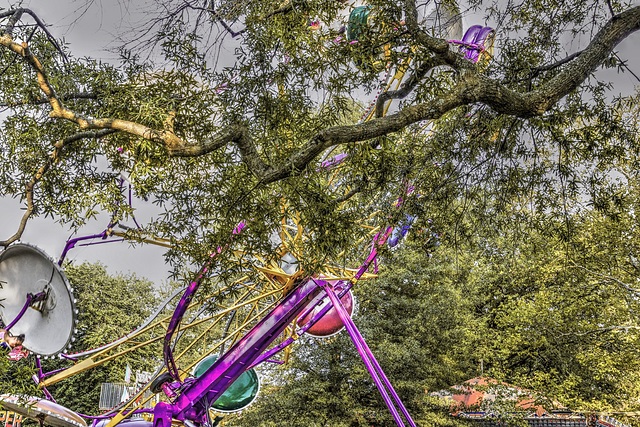 Midway in the Park – Labour Day Festival, Greenbelt, Maryland