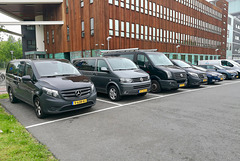 Vans of Mercedes-Benz and Volkswagen