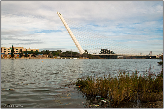 Sevilla ponte Alamillo (PiP)