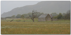 The barn on the marsh