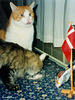 Rudolf's birthday party, 1998