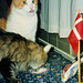 Rudolf's birthday party, 1998