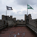 On The Roof Of Gravensteen