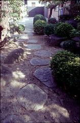 Traditional Japanese style garden 05
