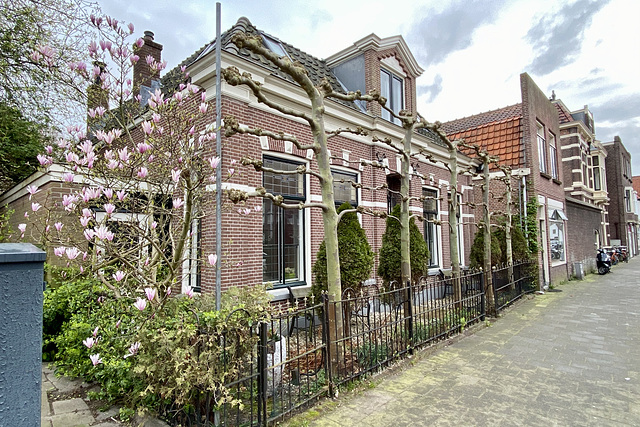 House on the Lage RIjndijk