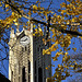 The unavoidable University Clock Tower 4