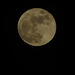 Madame La lune en pleine forme, alerte tempête sur la Bretagne et Vagues en submertion demain,,,