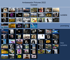 Ambassador Pictures 2022, October