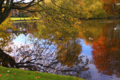 Lake in the Autumn