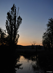 Sonnenuntergang im Neeracher Riedt (© Buelipix)