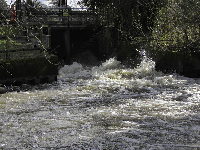 Sluice gate run out on the River Wey