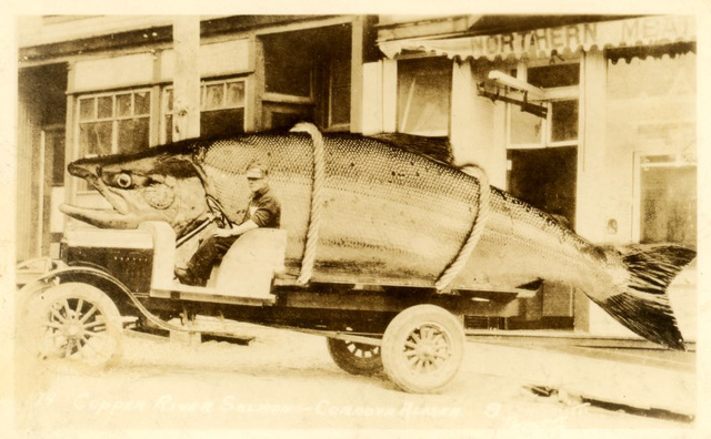 Truckload of Copper River Salmon, Cordova, Alaska, 1937