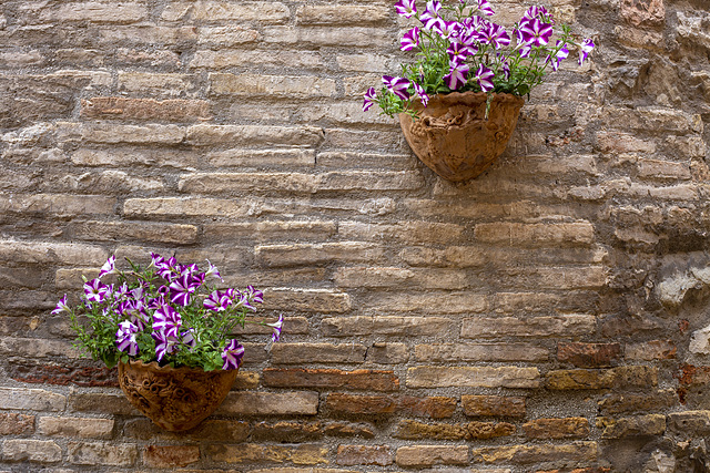 Assisi: wall, pots and flowers