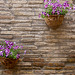Assisi: wall, pots and flowers
