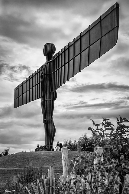 Angel of the North (PiP)