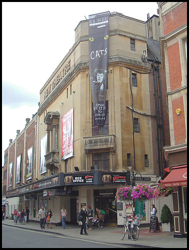 Cats at the New Theatre