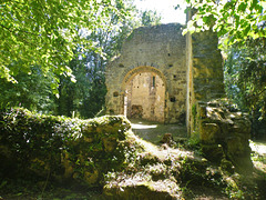 Ruines de la chapelle de Saint André des Eaux (22)