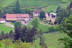 Blick auf die Wein Lodge Durbach, von Schloss-Staufenberg