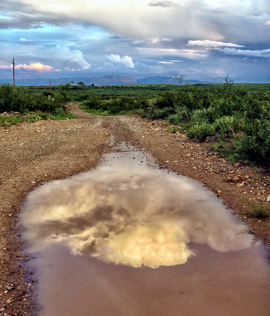 Trail Puddle