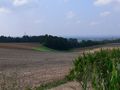 Panoramaweg Leonberg