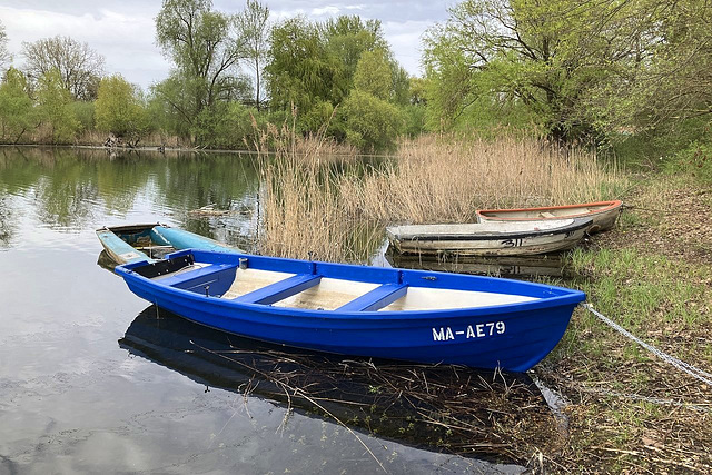 Blaue und andere Boote
