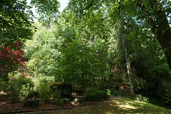 Dean Castle Country Park