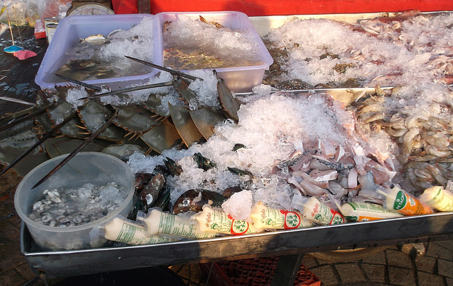Fruits de mer sur glace / Seafood on ice
