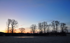 winterlicher Sonnenaufgang im Neeracherried (© Buelipix)
