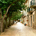 2002-05-12 Mallorca, Valldemossa
