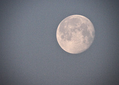 Der Mond um 8Uhr40