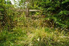 Grass and a Fence Near Fieldways
