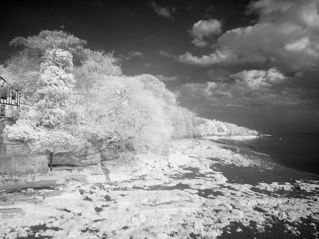 Eastham infrared photograph