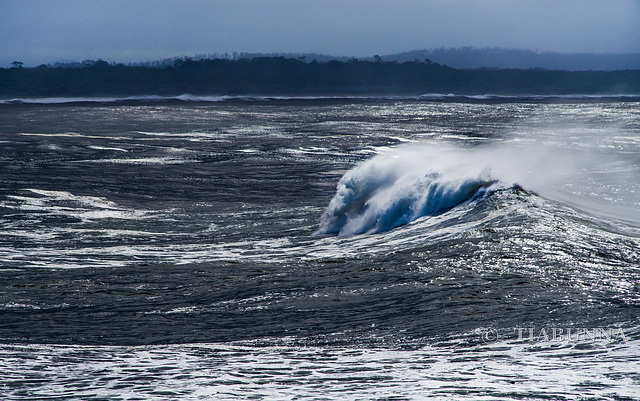 Wild weather