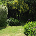 The lawn after Peter very kindly cut it for me